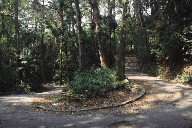Tijuca Forest Jeep Tour